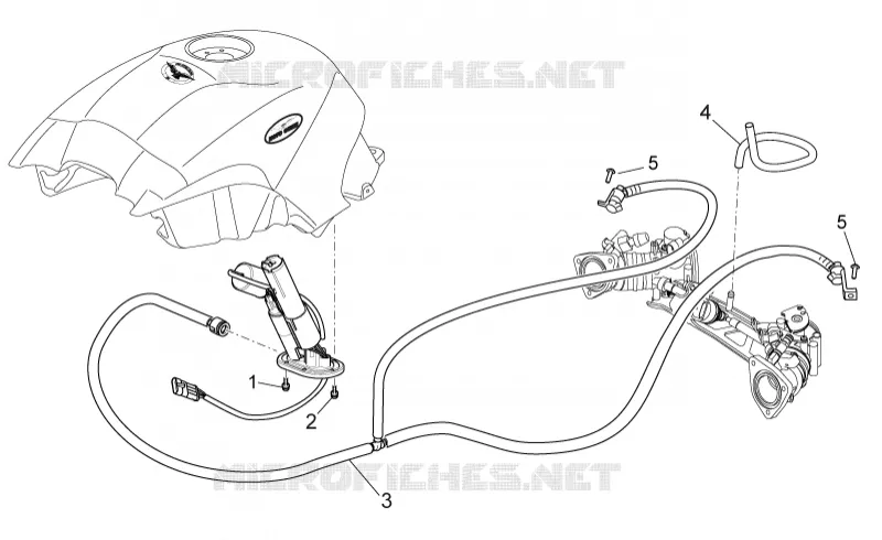 Alimentación