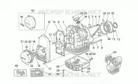 Cárter motor
