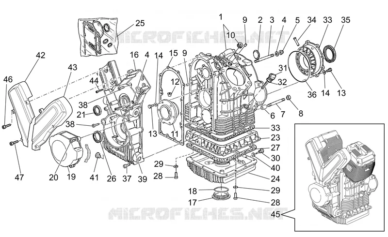 Cárter motor