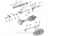 Selector cambio