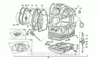 Cárter motor