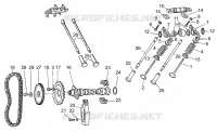 Distribución