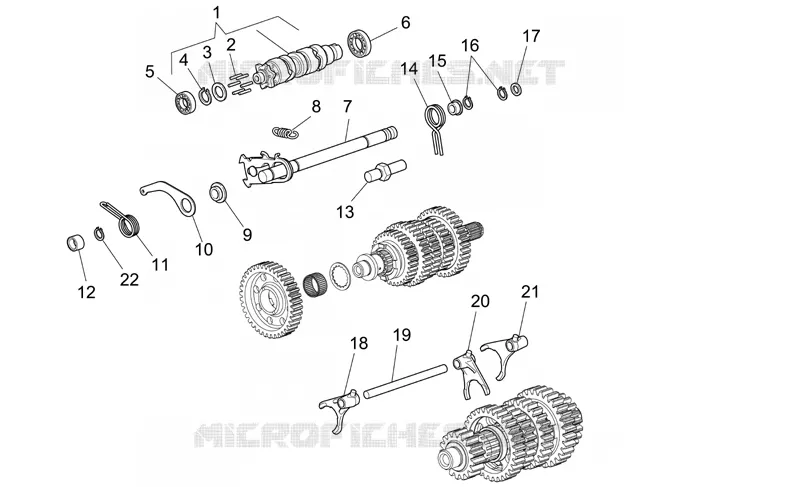 Selector cambio